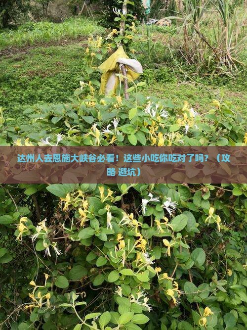 达州去恩施大峡谷旅游小吃