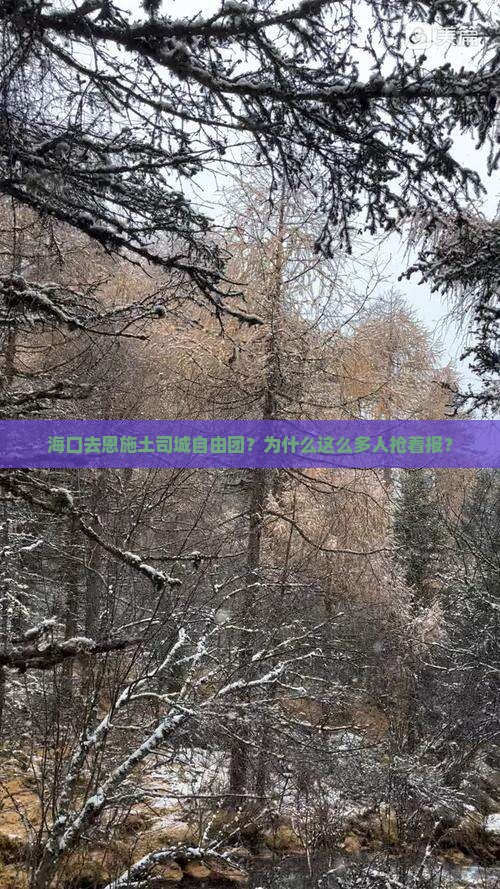 海口去恩施土司城自由团