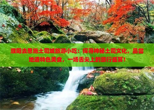 濮阳去恩施土司城旅游小吃