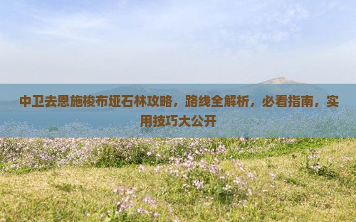 中卫去恩施梭布垭石林攻略