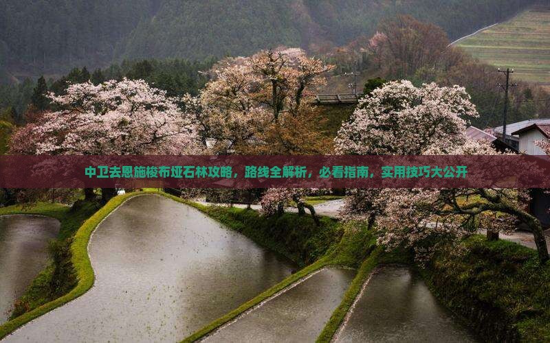 中卫去恩施梭布垭石林攻略