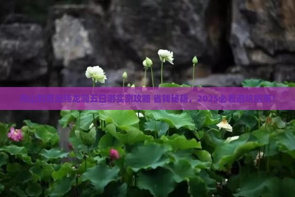 舟山到恩施腾龙洞五日游