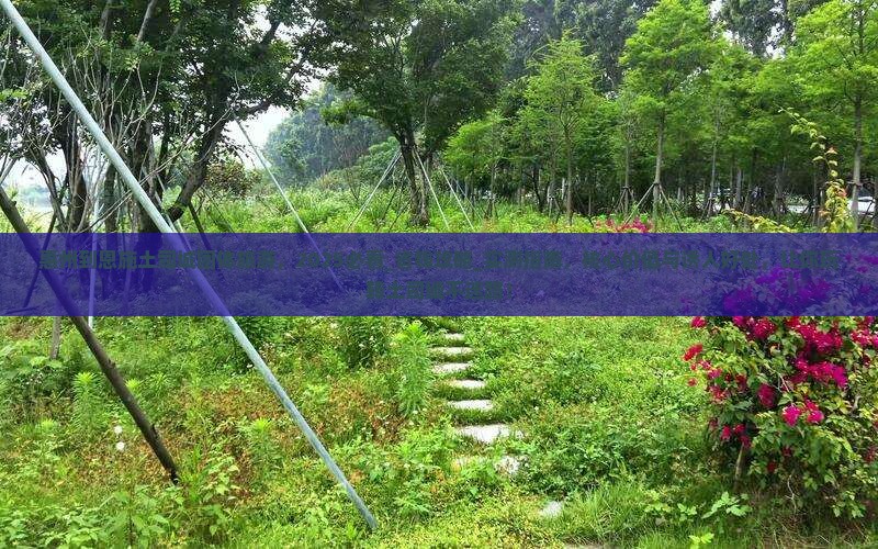 惠州到恩施土司城团体旅游