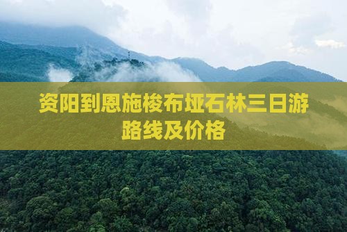 资阳到恩施梭布垭石林三日游