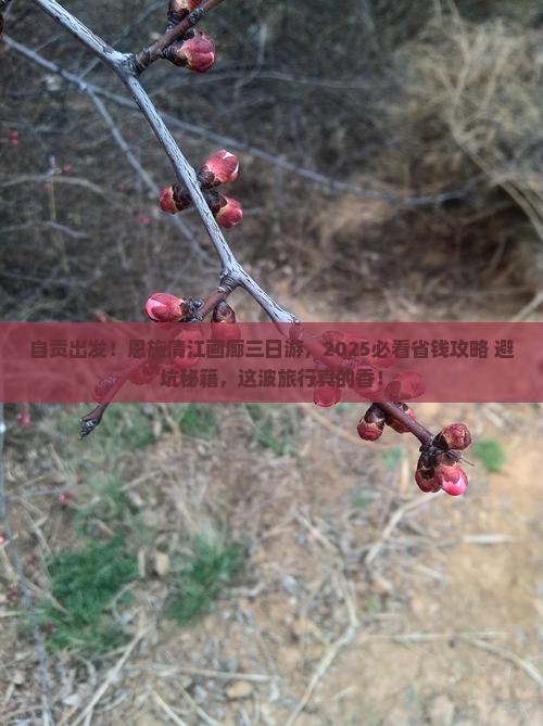 自贡去恩施清江画廊三日游