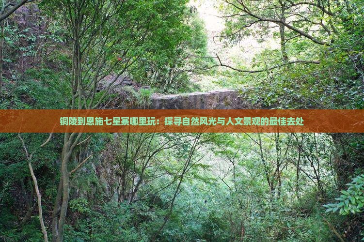 铜陵到恩施七星寨哪里玩