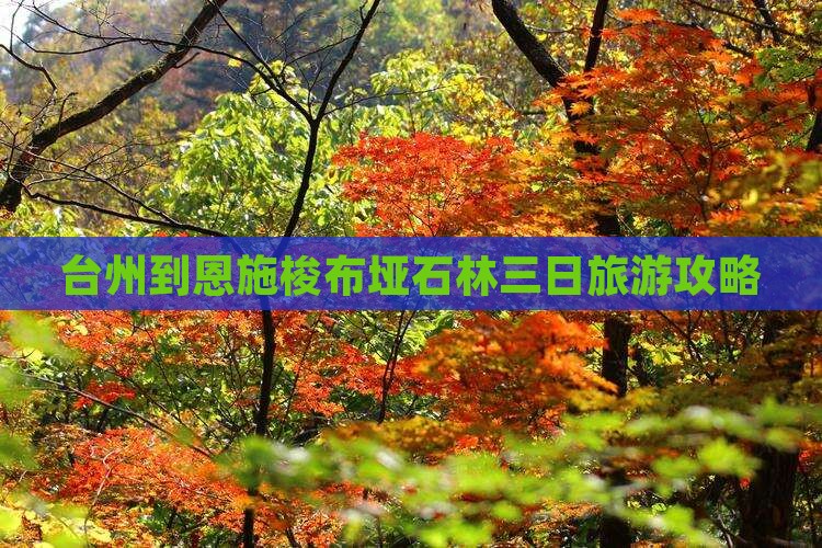 台州到恩施梭布垭石林三日游