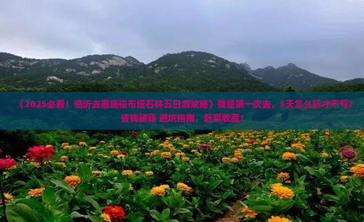 临沂去恩施梭布垭石林五日游