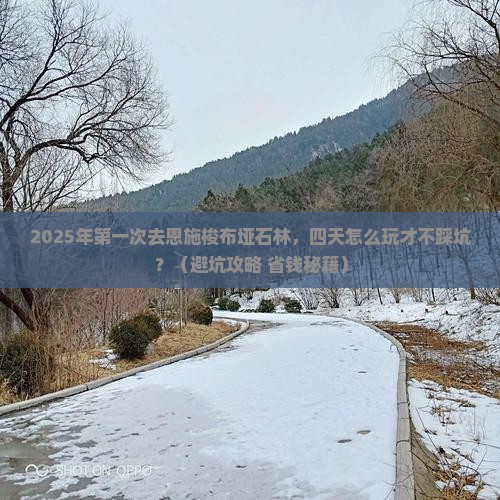 一月到恩施梭布垭石林四日游