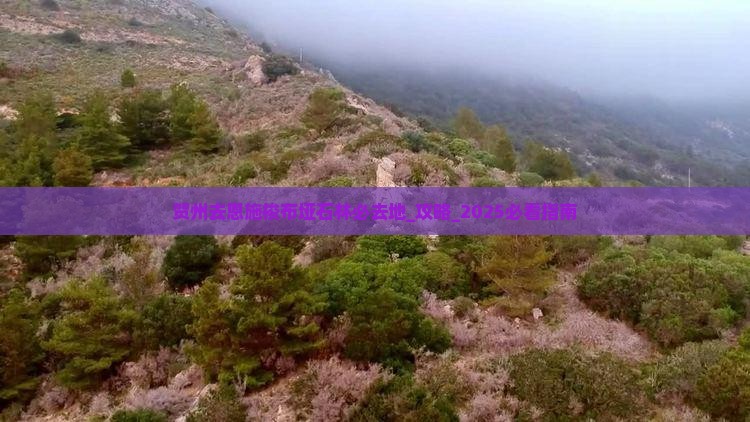 贺州去恩施梭布垭石林必去地