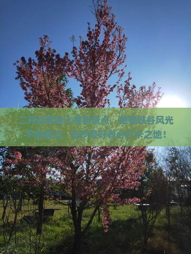 二月去恩施七星寨景点