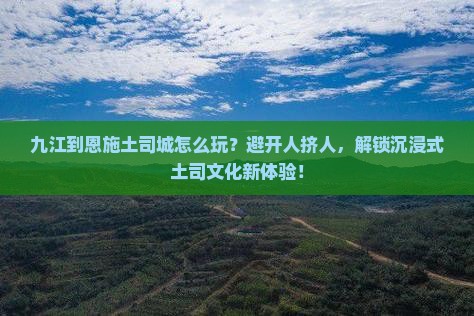 九江到恩施土司城哪里玩