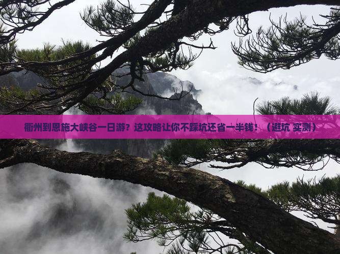 衢州到恩施大峡谷一日