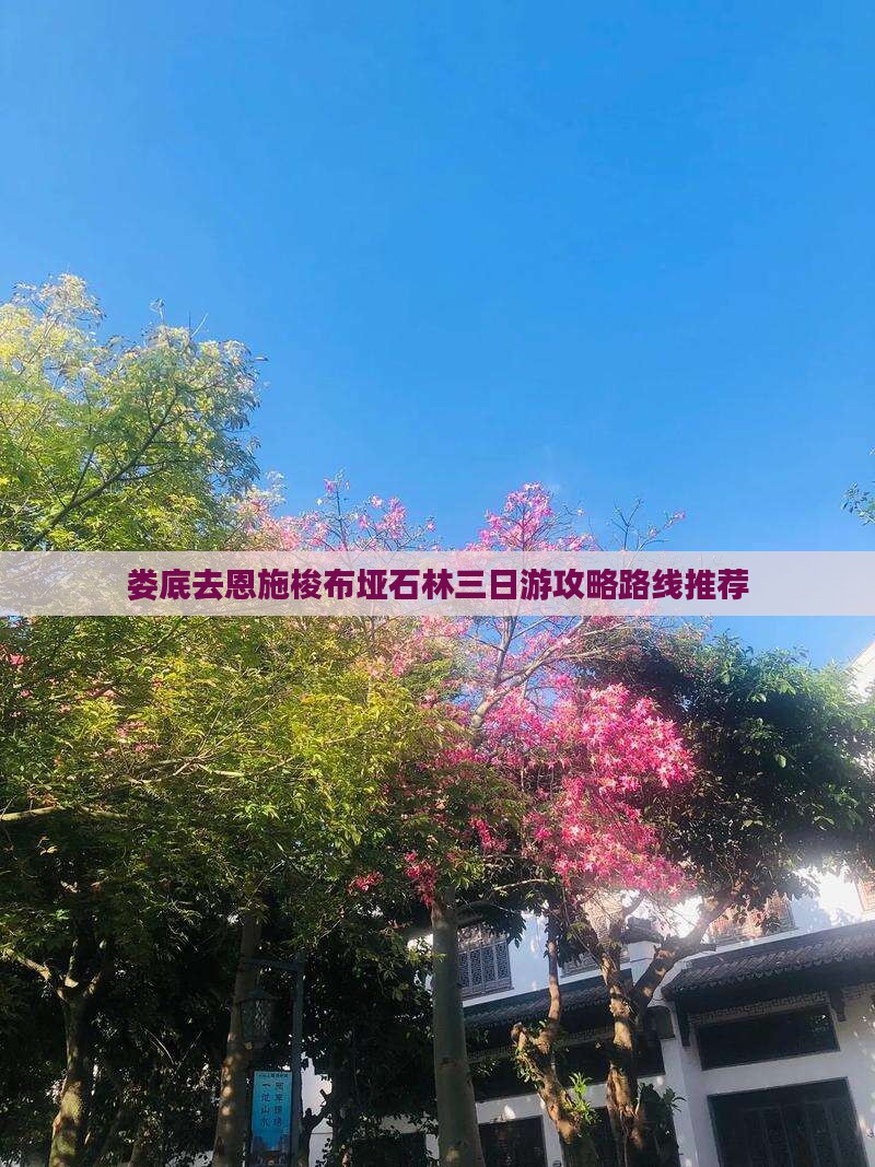 娄底去恩施梭布垭石林三日游