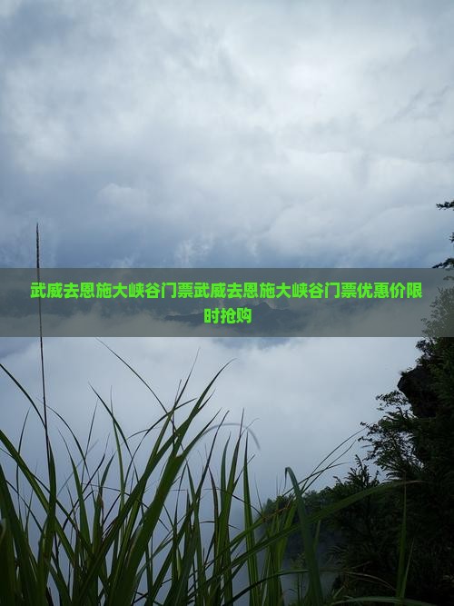 武威去恩施大峡谷门票