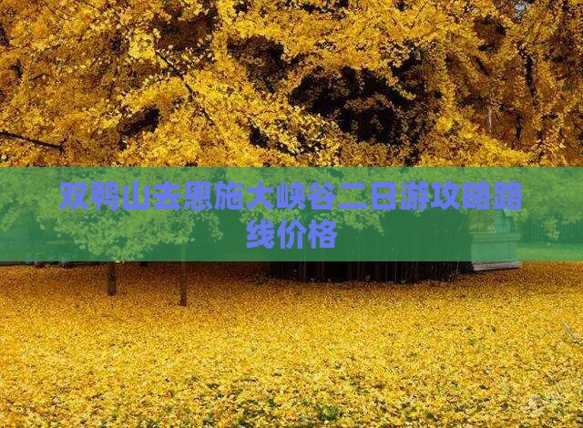 双鸭山去恩施大峡谷二日游