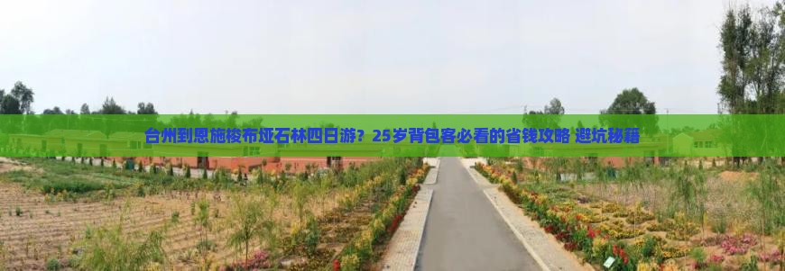 台州到恩施梭布垭石林四日游