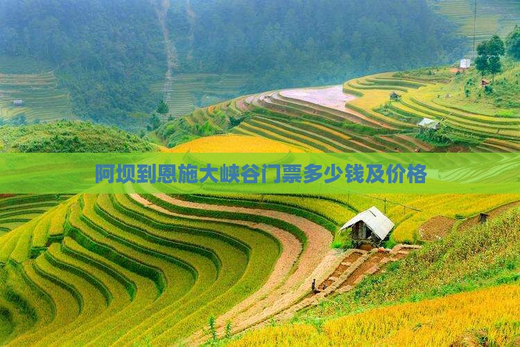 阿坝到恩施大峡谷门票