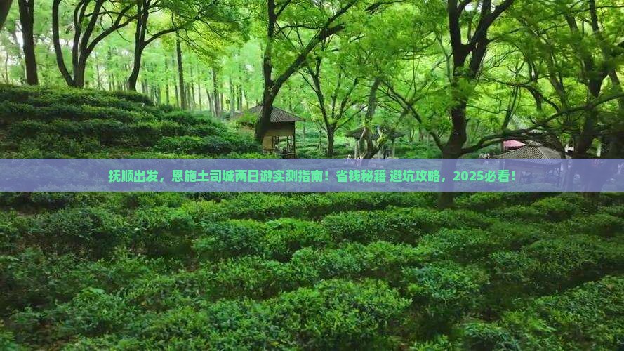 抚顺到恩施土司城二日游