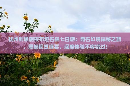 抚州到恩施梭布垭石林七日游