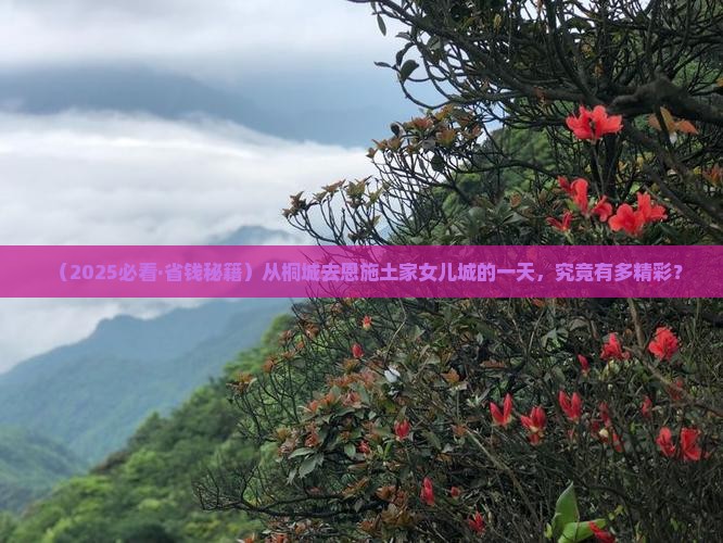 桐城去恩施土家女儿城一日