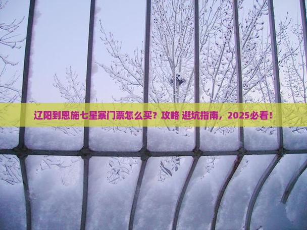 辽阳到恩施七星寨门票