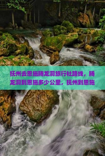 抚州去恩施腾龙洞旅行社