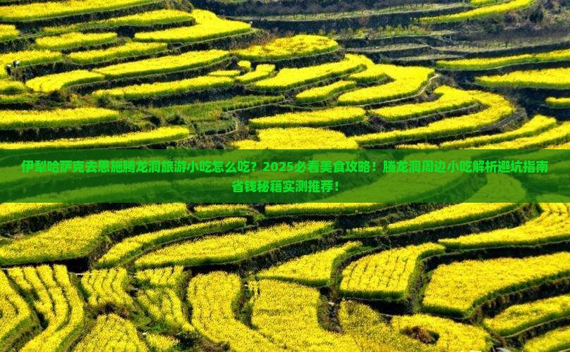 伊犁哈萨克去恩施腾龙洞旅游小吃