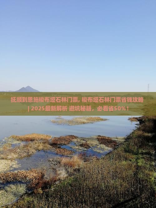 抚顺到恩施梭布垭石林门票