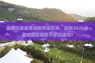 益阳去恩施梭布垭石林团体旅游