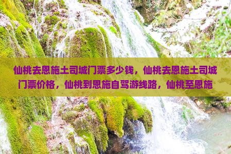 仙桃去恩施土司城门票
