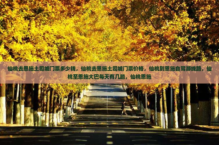 仙桃去恩施土司城门票