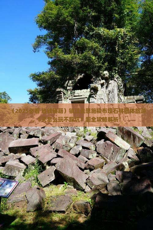 镇江去恩施梭布垭石林团体旅游