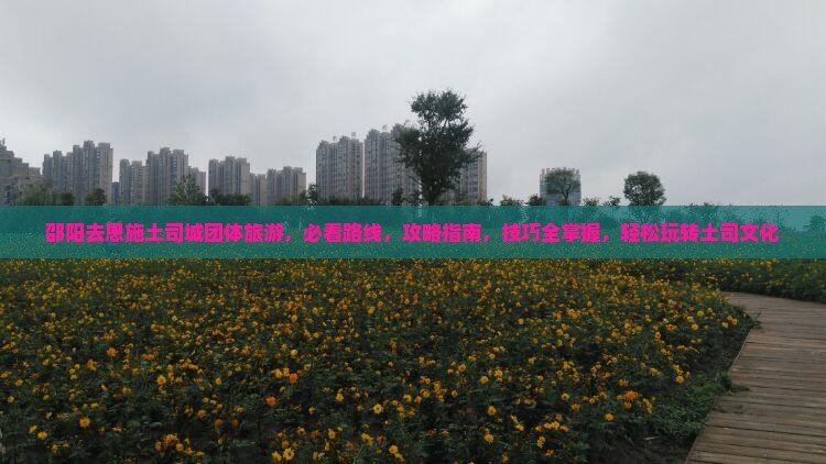 邵阳去恩施土司城团体旅游