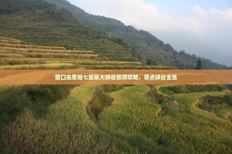 营口去恩施七星寨旅行社