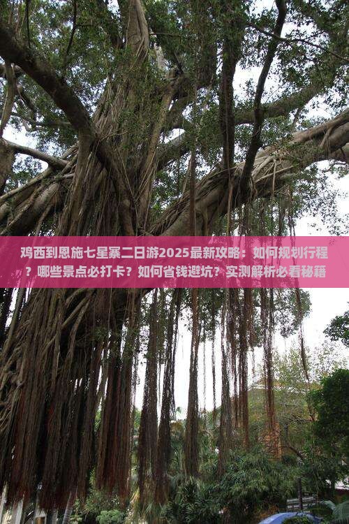 鸡西到恩施七星寨二日游