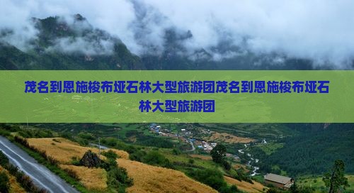 茂名到恩施梭布垭石林大型旅游团