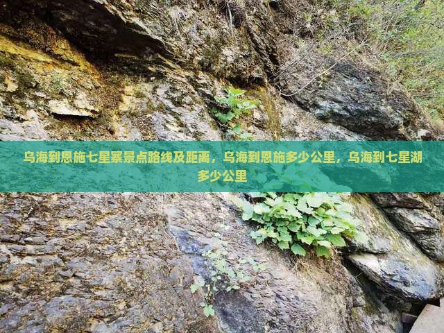 乌海到恩施七星寨景点