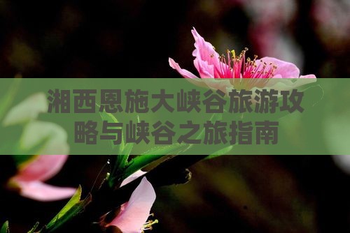 湘西到恩施大峡谷旅游
