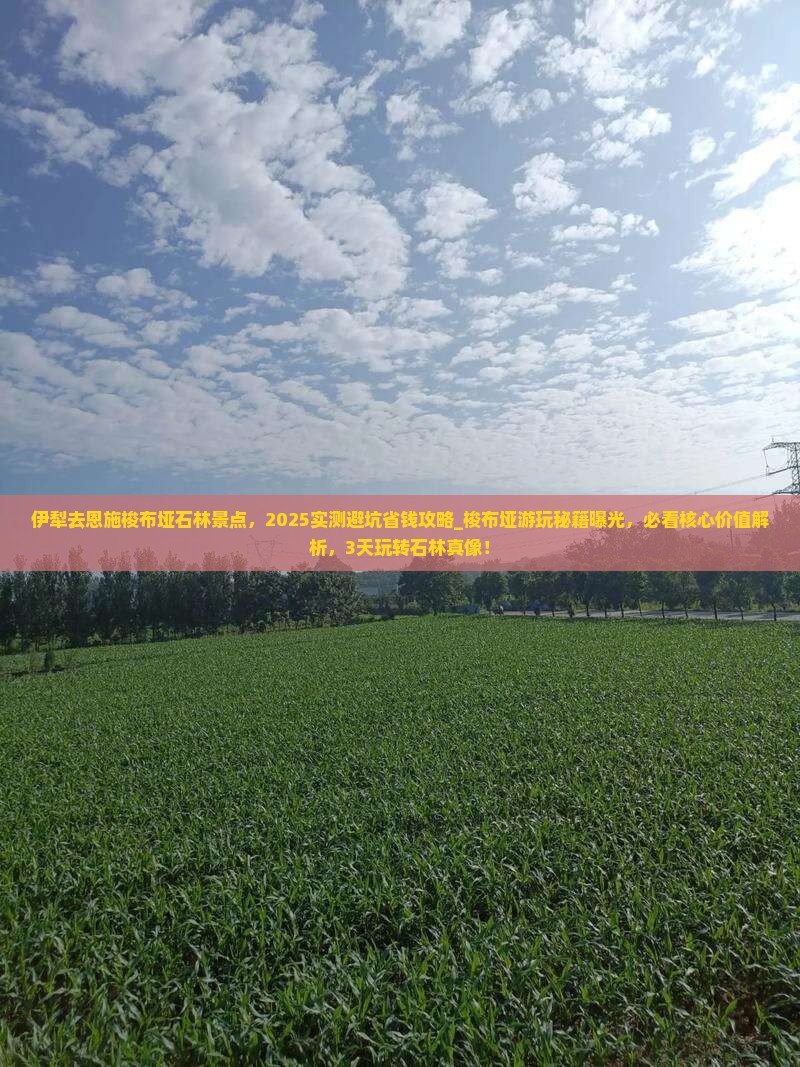 伊犁去恩施梭布垭石林景点