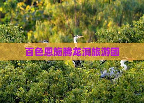 百色到恩施腾龙洞团体旅游