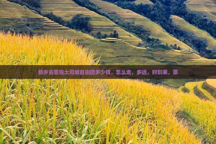 新乡去恩施土司城自由团
