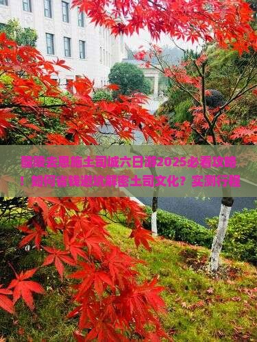 醴陵去恩施土司城六日游
