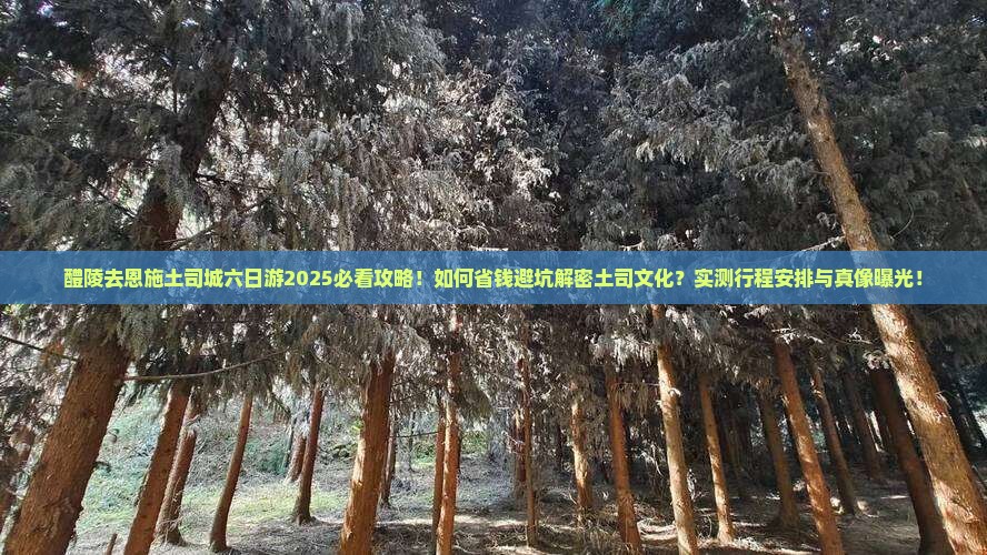 醴陵去恩施土司城六日游