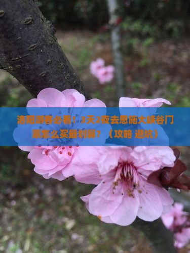洛阳去恩施大峡谷门票