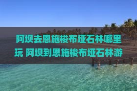 阿坝去恩施梭布垭石林哪里玩