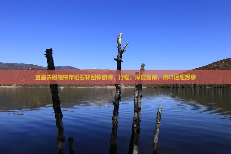 宜昌去恩施梭布垭石林团体旅游