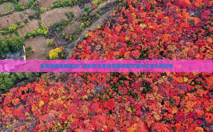 海西到恩施腾龙洞门票