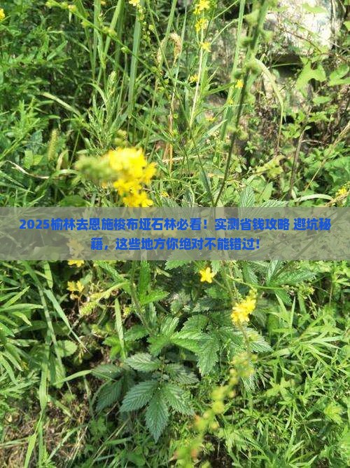 榆林去恩施梭布垭石林必去地
