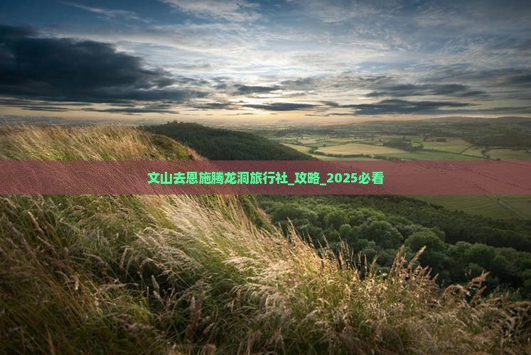 文山去恩施腾龙洞旅行社